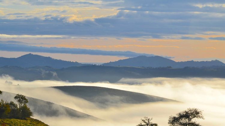 Avec PresseLib', le Pays Basque, le Béarn, les Landes, la Bigorre et le Gers sont mis en valeur